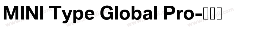 MINI Type Global Pro字体转换